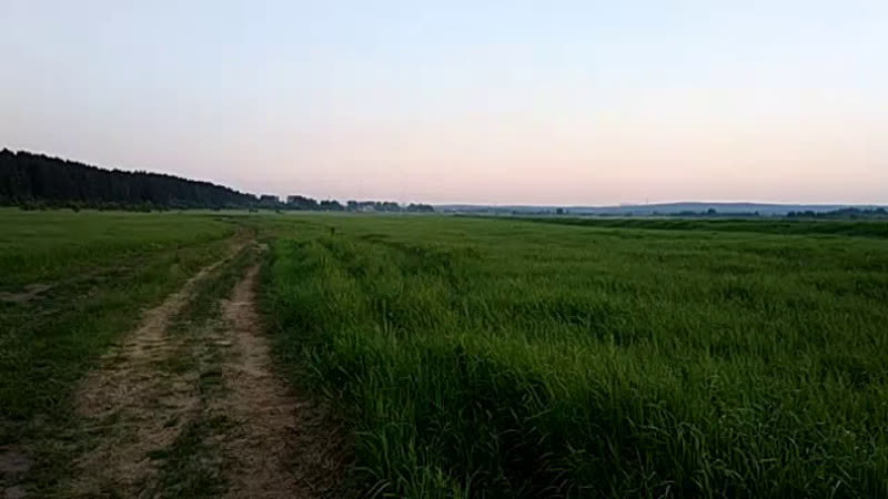 Абхирам Тхакур - Live