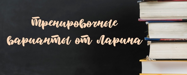тренировочные варианты александра ларина