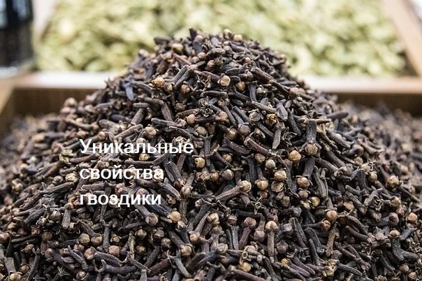ДЛЯ ЧЕГО ЛЮДИ РЕГУЛЯРНО ЖУЮТ СУШЕНУЮ ГВОЗДИКУ Пряность имеет весьма уникальный состав, благодаря которому можно избавиться от различных заболеваний. В ней содержится много витаминов, жирные