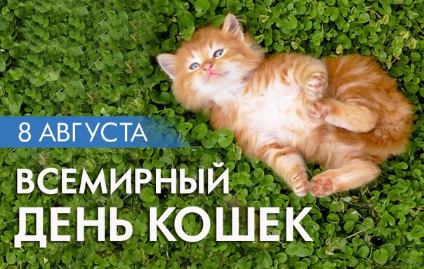 Подслушано Оренбург