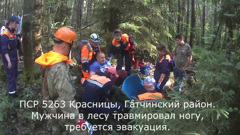 Объединение добровольных спасателей экстремум. Погода в Красницах Гатчинский на 14 дней.