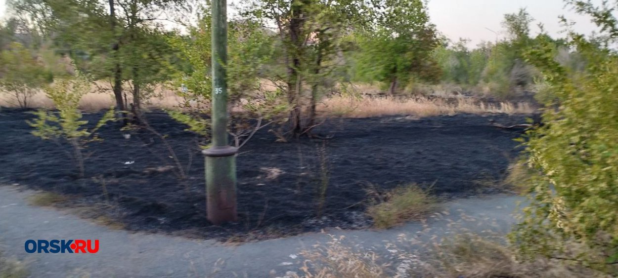 Парк машиностроителей орск Парк машиностроителей орск