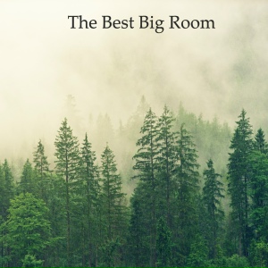 The Best Big Room Pt.010